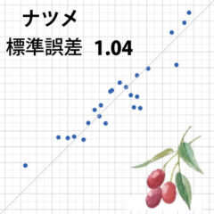 ナツメ (試験販売品目)