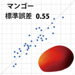マンゴー